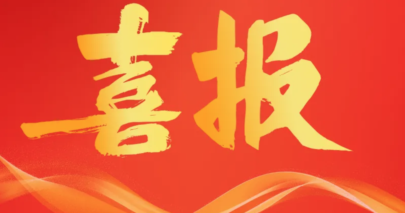 傳承五四精神，書寫青春風采｜公司團委及團員團干獲多項榮譽
