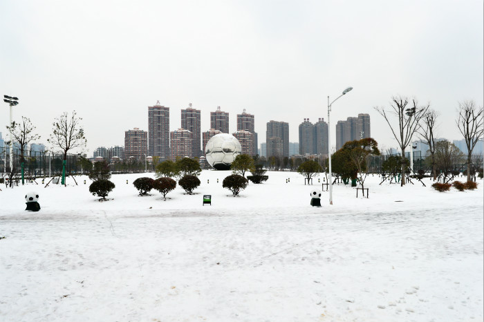 一場雪，體育中心美得不要不要的 但最美的風景還是他們(圖2)