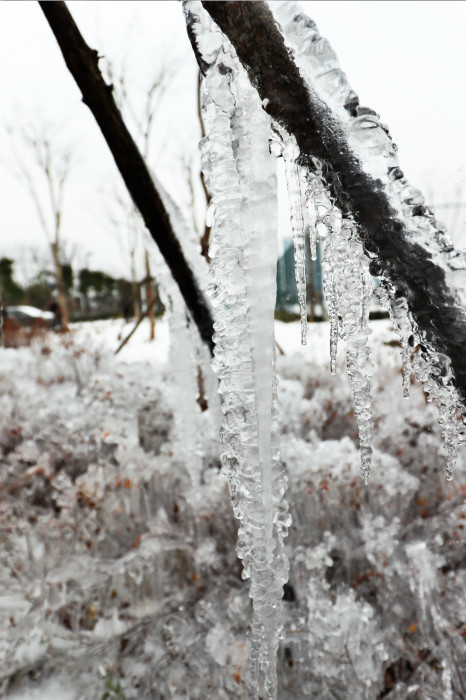 一場雪，體育中心美得不要不要的</br>但最美的風景還是他們(圖4)