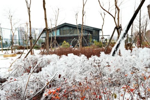 一場雪，體育中心美得不要不要的</br>但最美的風景還是他們(圖2)