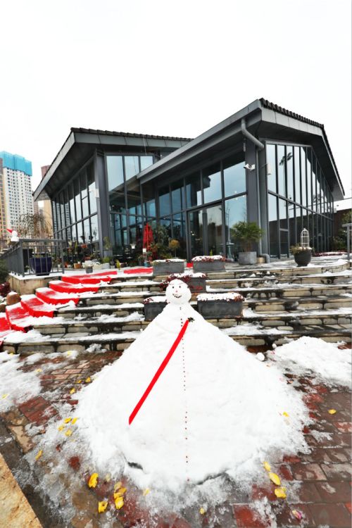 一場雪，體育中心美得不要不要的</br>但最美的風景還是他們(圖11)